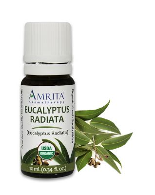 3411-1/3oz. Amrita Eucalyptus Radiata, Organic