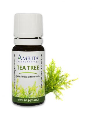 4911-1/3oz Amrita Tea-Tree, Certified Organic
