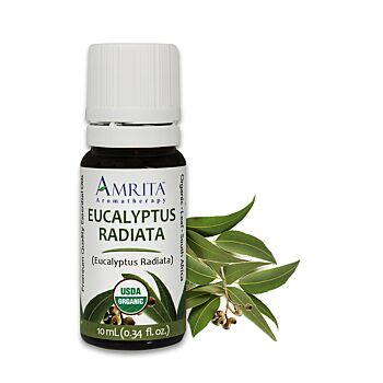 3411-1/3oz. Amrita Eucalyptus Radiata, Organic