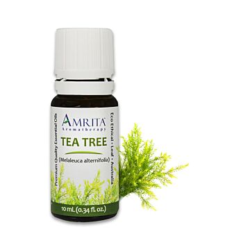 4911-1/3oz Amrita Tea-Tree, Certified Organic