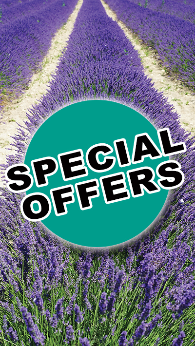 Special Offers