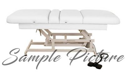Used Touch America Elevating Massage Table (Item# 1844)